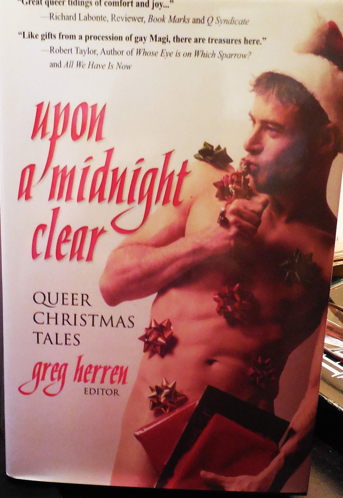 Upon a Midnight Clear Queer Christmas Tales - 1996