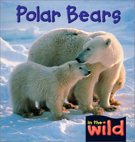 Polar Bears (In the Wild)
