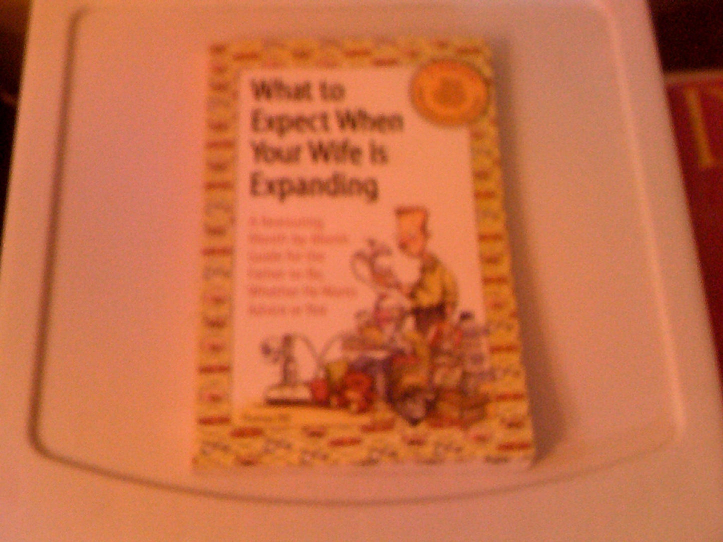 What to Expect When Your Wife Is Expanding: A Reassuring Month-by-Month Guide for the Father-to-Be, Whether He Wants Advice or Not