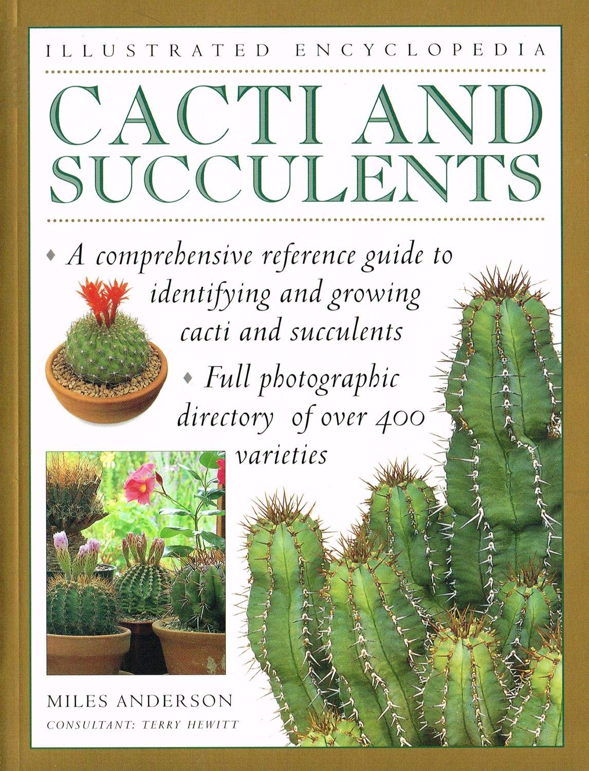 Cacti and Succulents (Illustrated Encyclopedia) - 9505
