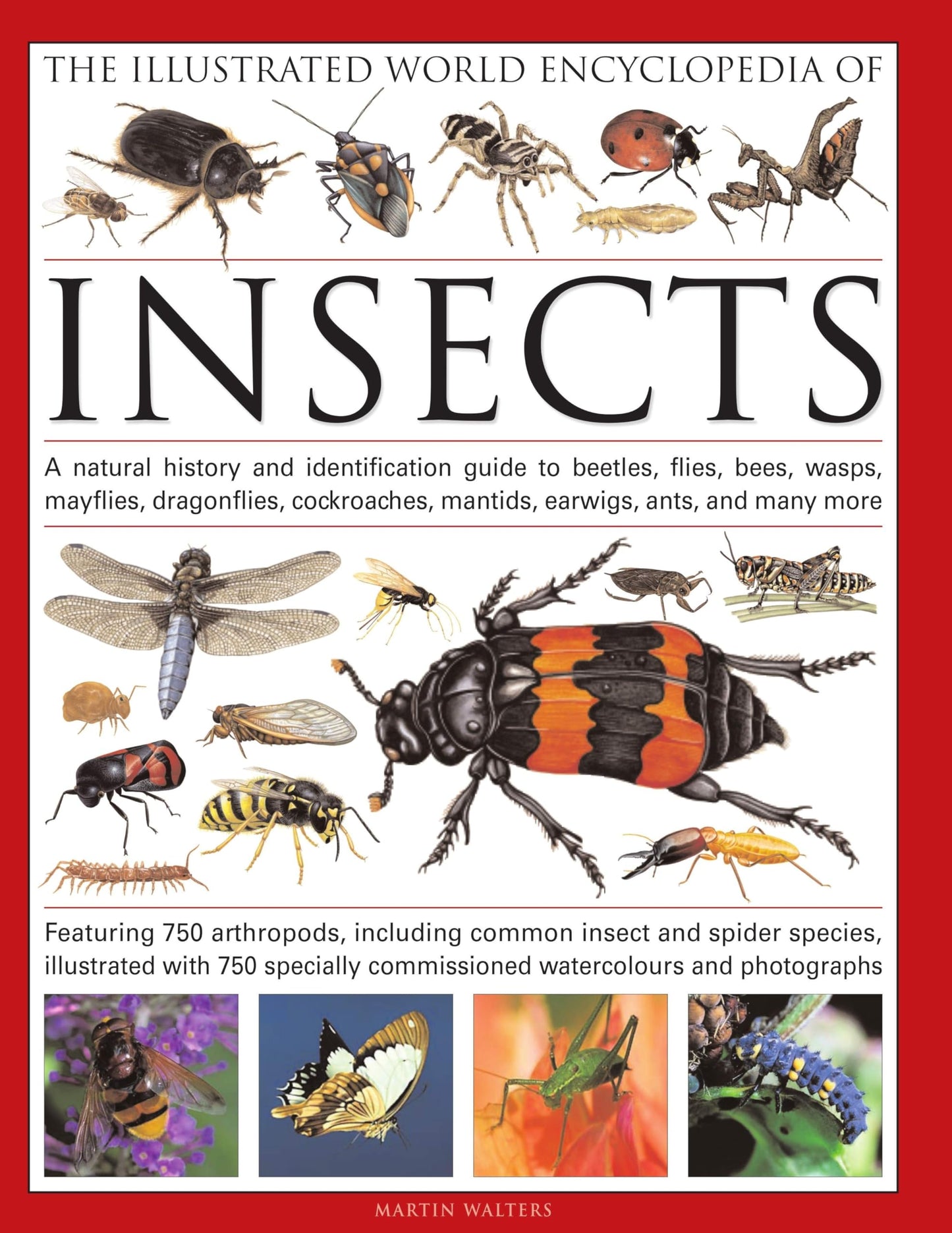 The Illustrated World Encyclopedia of Insects: A Natural History and Identification Guide to Beetles, Flies, Bees, wasps, Springtails, Mayflies, ... Crickets, Bugs, Grasshoppers, Fleas, Spid