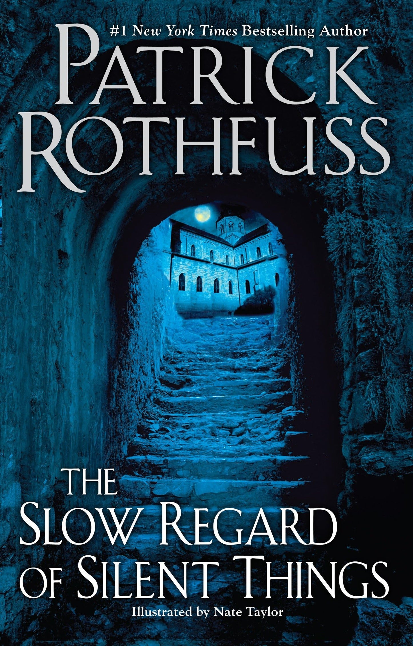 The Slow Regard of Silent Things - 9709