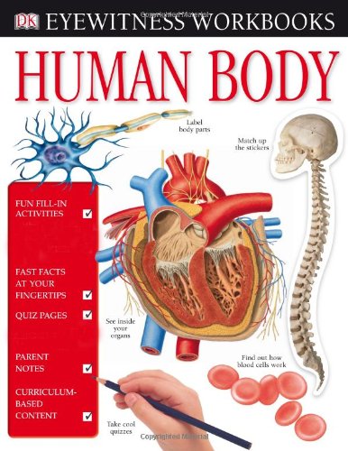 Human Body (Eyewitness Workbooks)