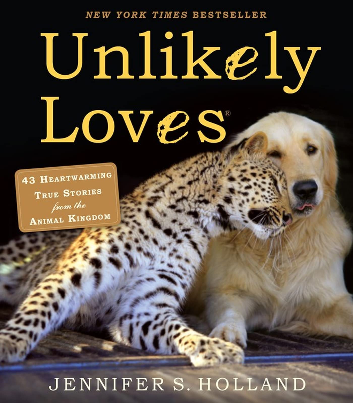 UNLIKELY LOVES: 43 HEARTWARMING