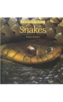 Snakes (Perfect Pets)