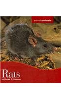 Rats (Animals Animals)