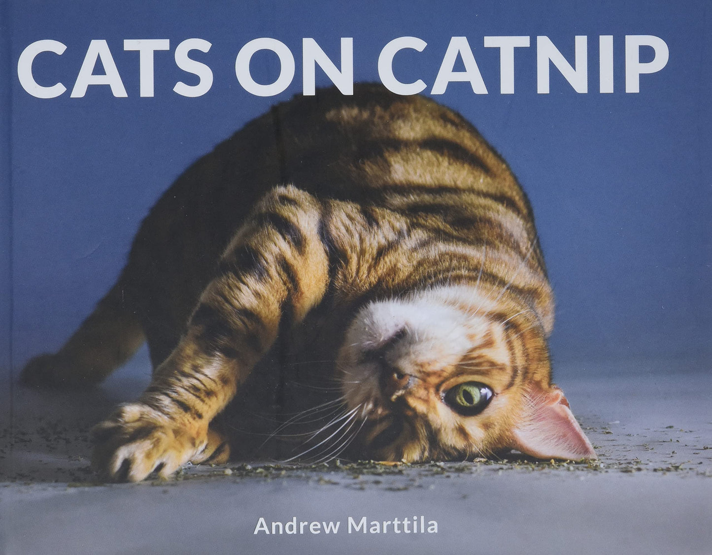 CATS ON CATNIP