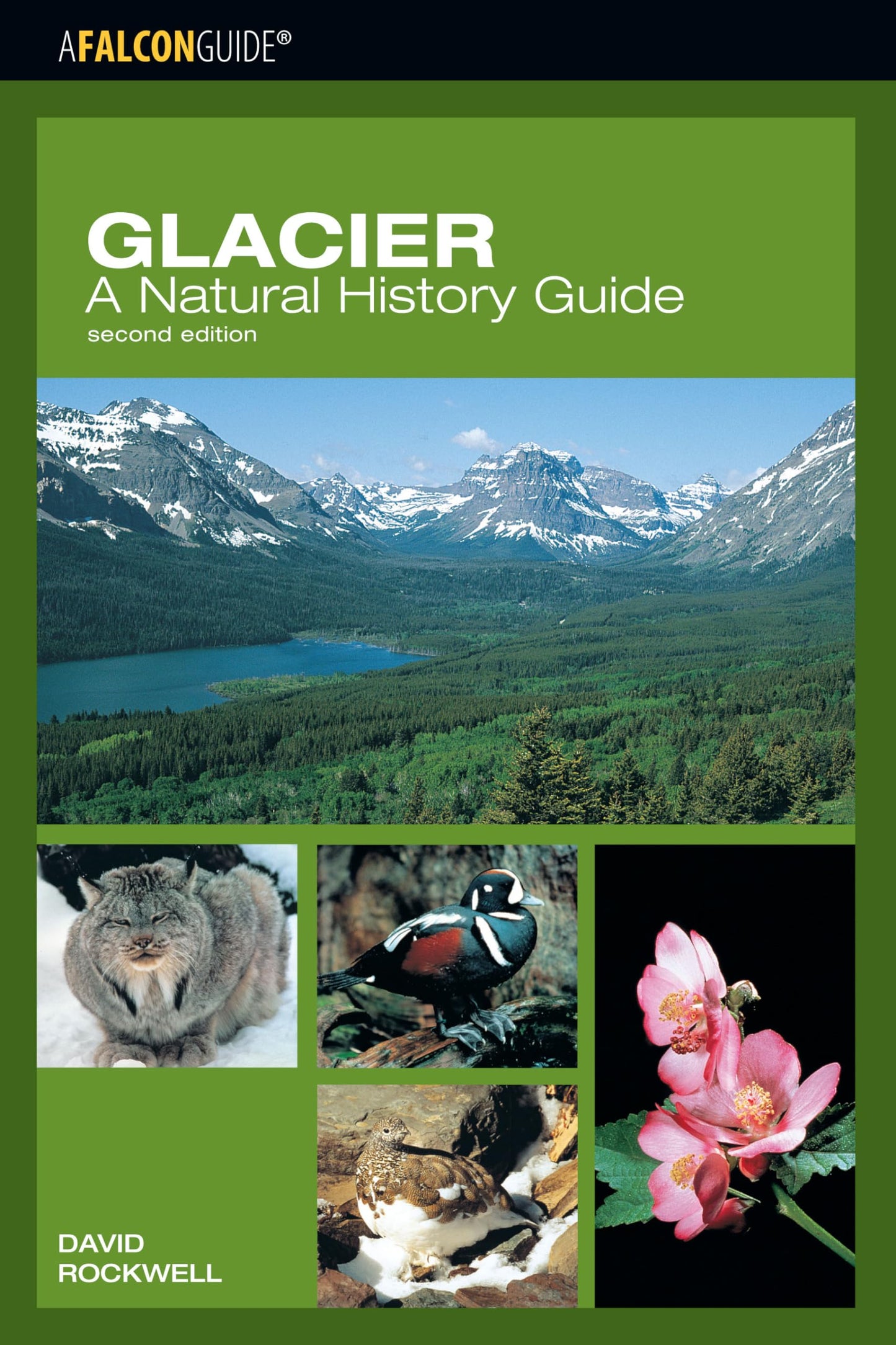 Glacier: A Natural History Guide (Falcon Guide) - 2011