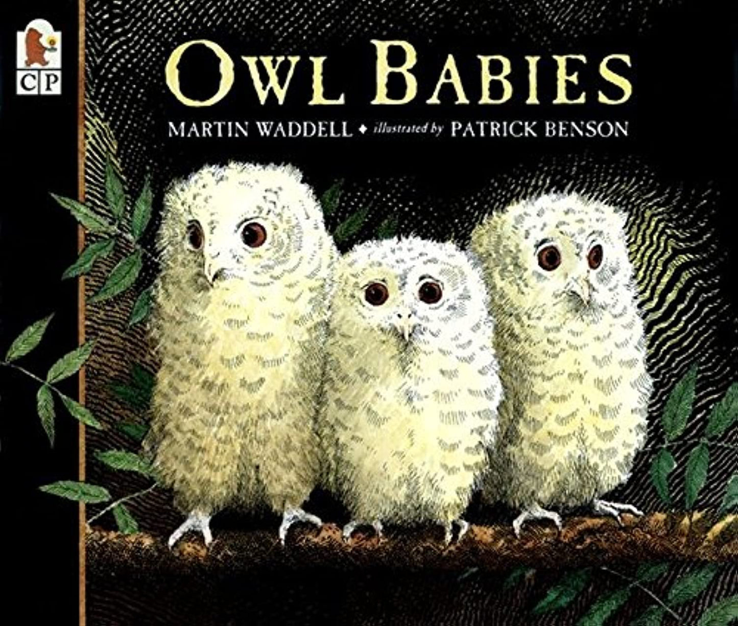 OWL BABIES - 3531
