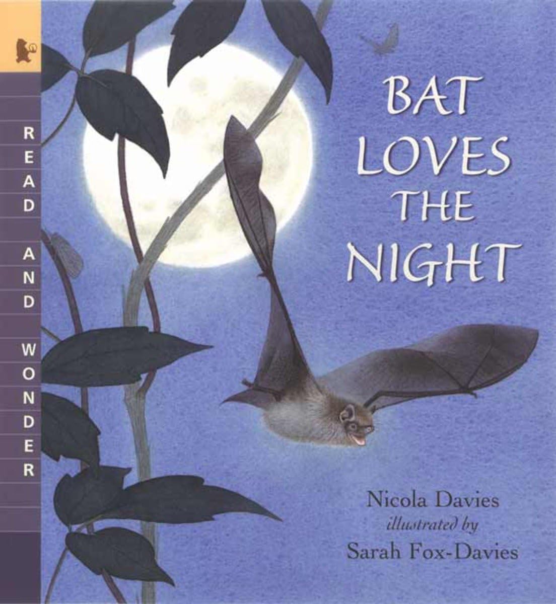 Bat Loves the Night: Read and Wonder - 697
