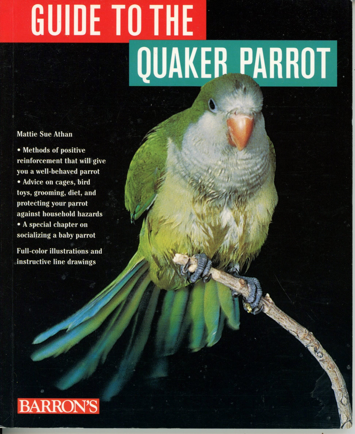 A Guide to the Quaker Parrot