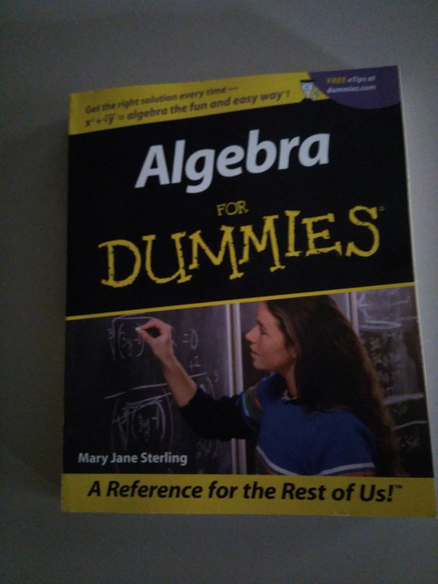 Algebra for Dummies - 5183