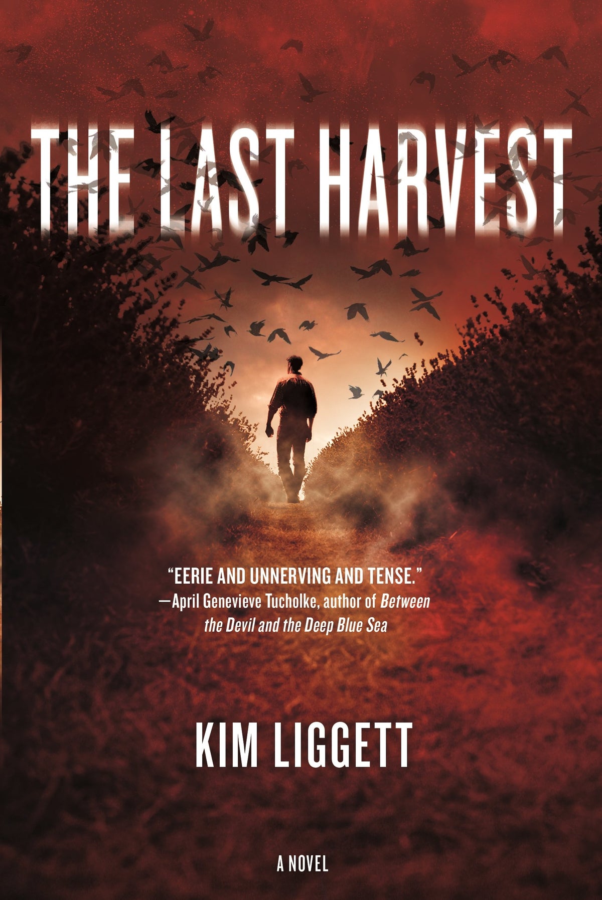 The Last Harvest: A Novel