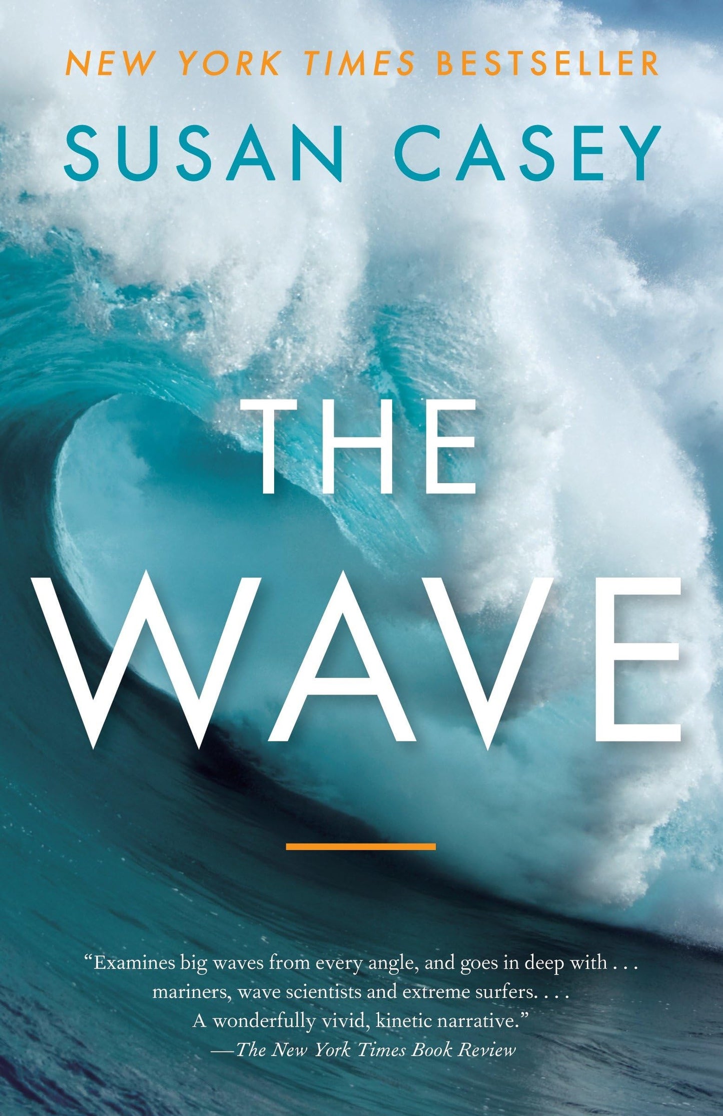 THE WAVE: IN PURSUIT OF THE ROGU