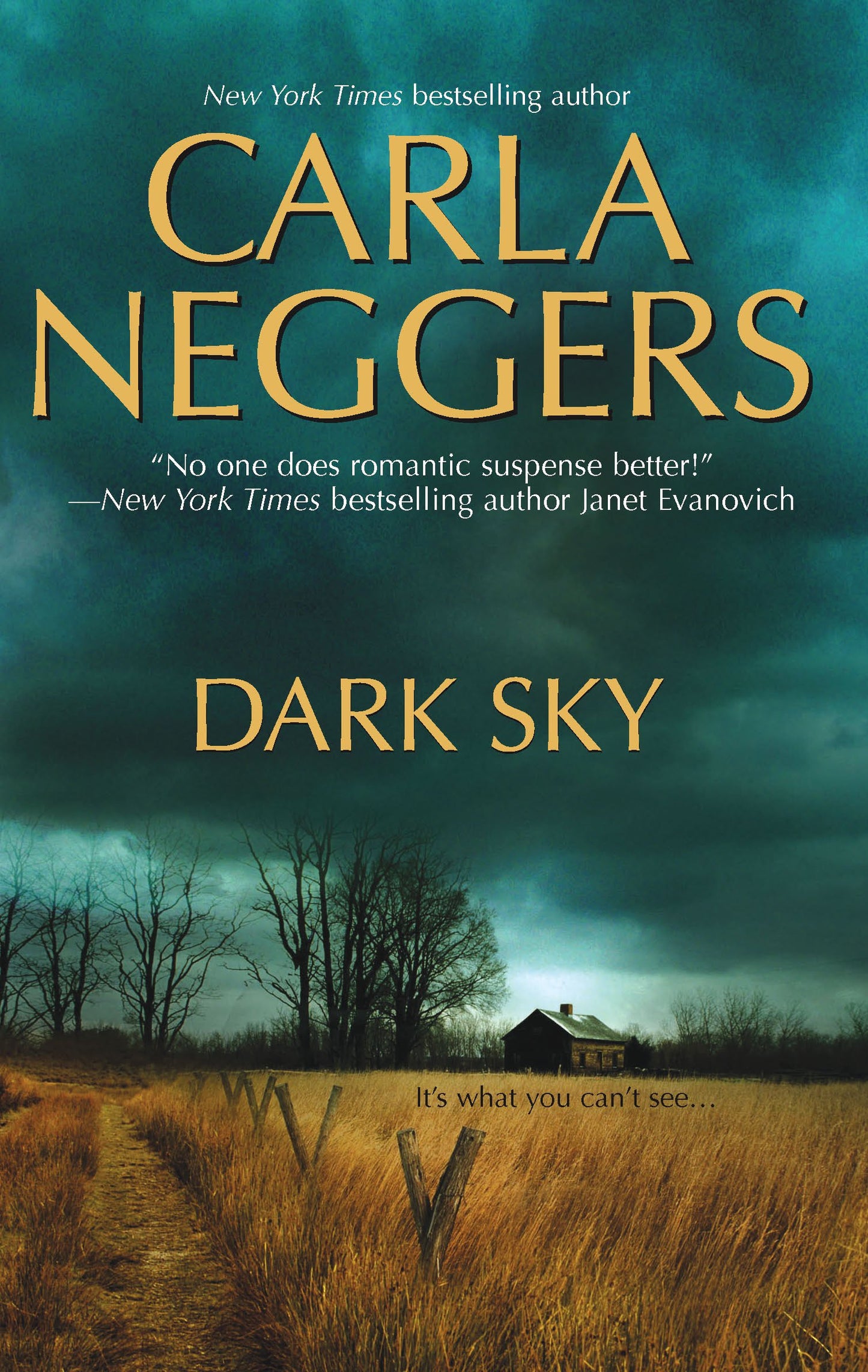 Dark Sky (Cold Ridge, 4)