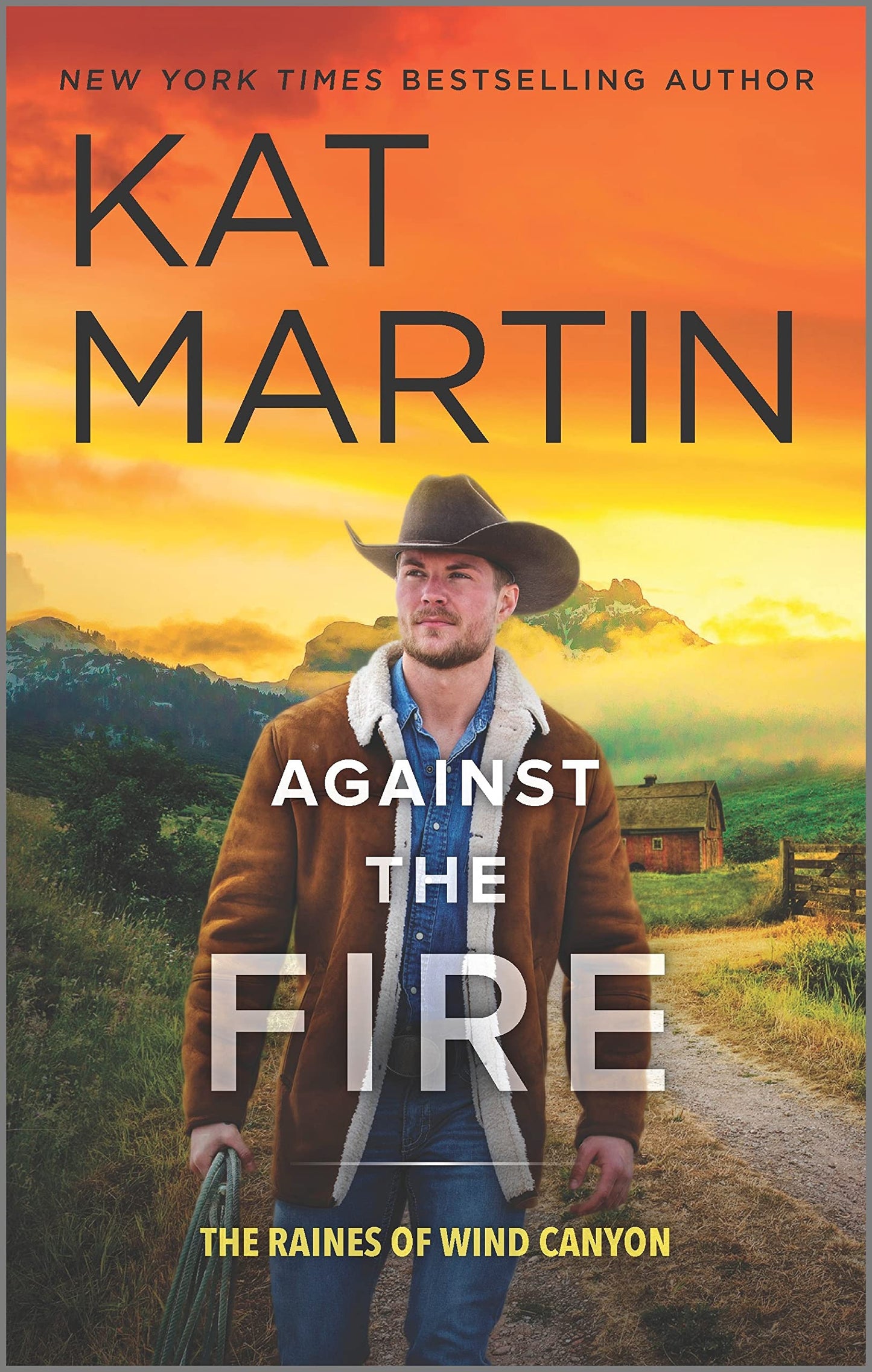 Against the Fire: A Novel – A Compelling Contemporary Romance Featuring a Deadly Mystery (The Raines of Wind Canyon, 2)