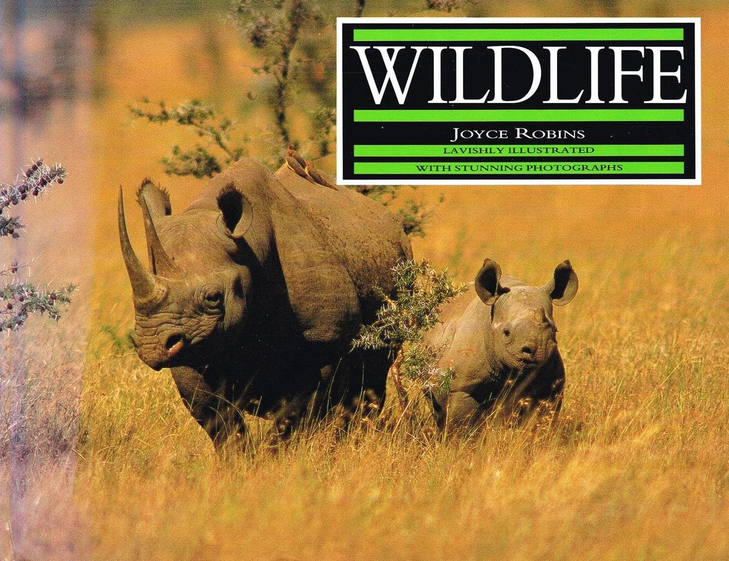 Wildlife (Nature Series)