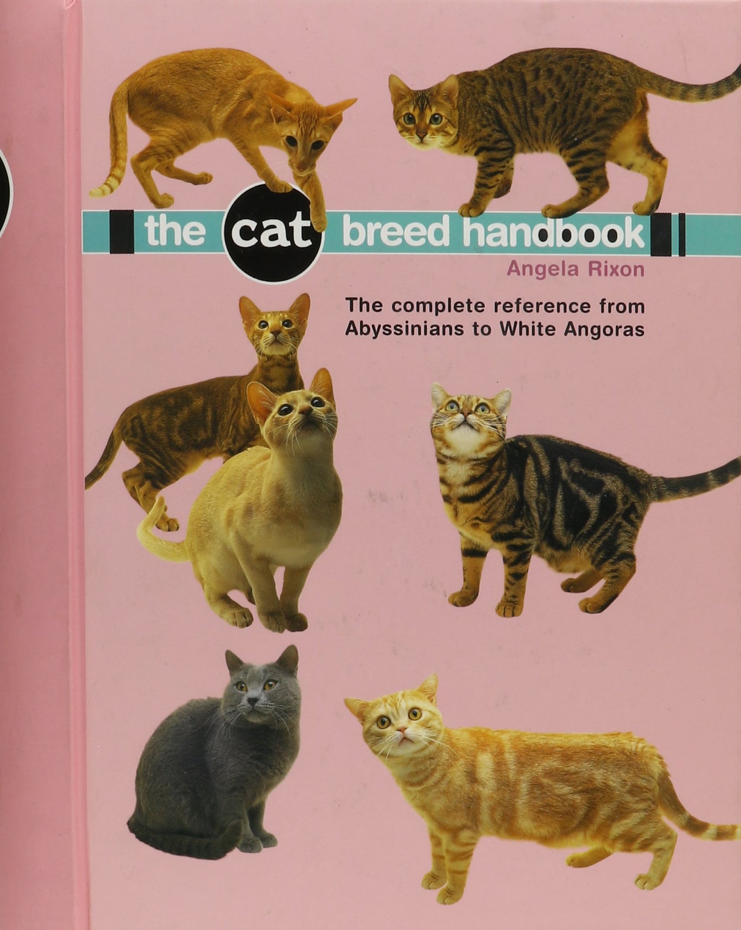 Cat Breed Handbook: The Complete Reference from Abyssinians to Siamese - 9829