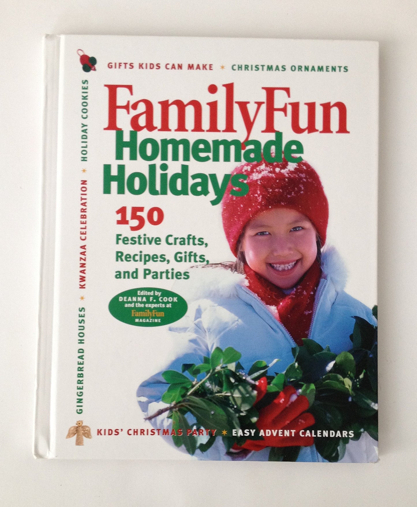 Family Fun Homemade Holidays - 6190
