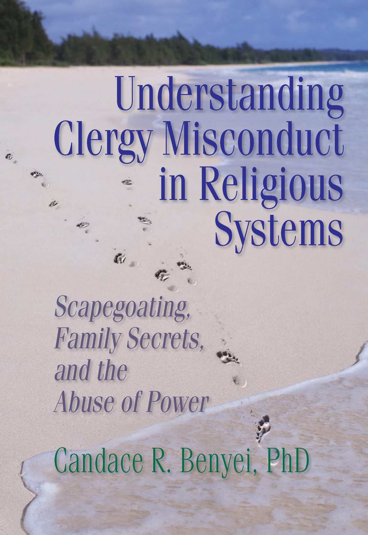Understanding Clergy Misconduct in Religious Systems: Scapegoating, Family Secrets, and the Abuse of Power (Haworth Pastoral Press) - 9664