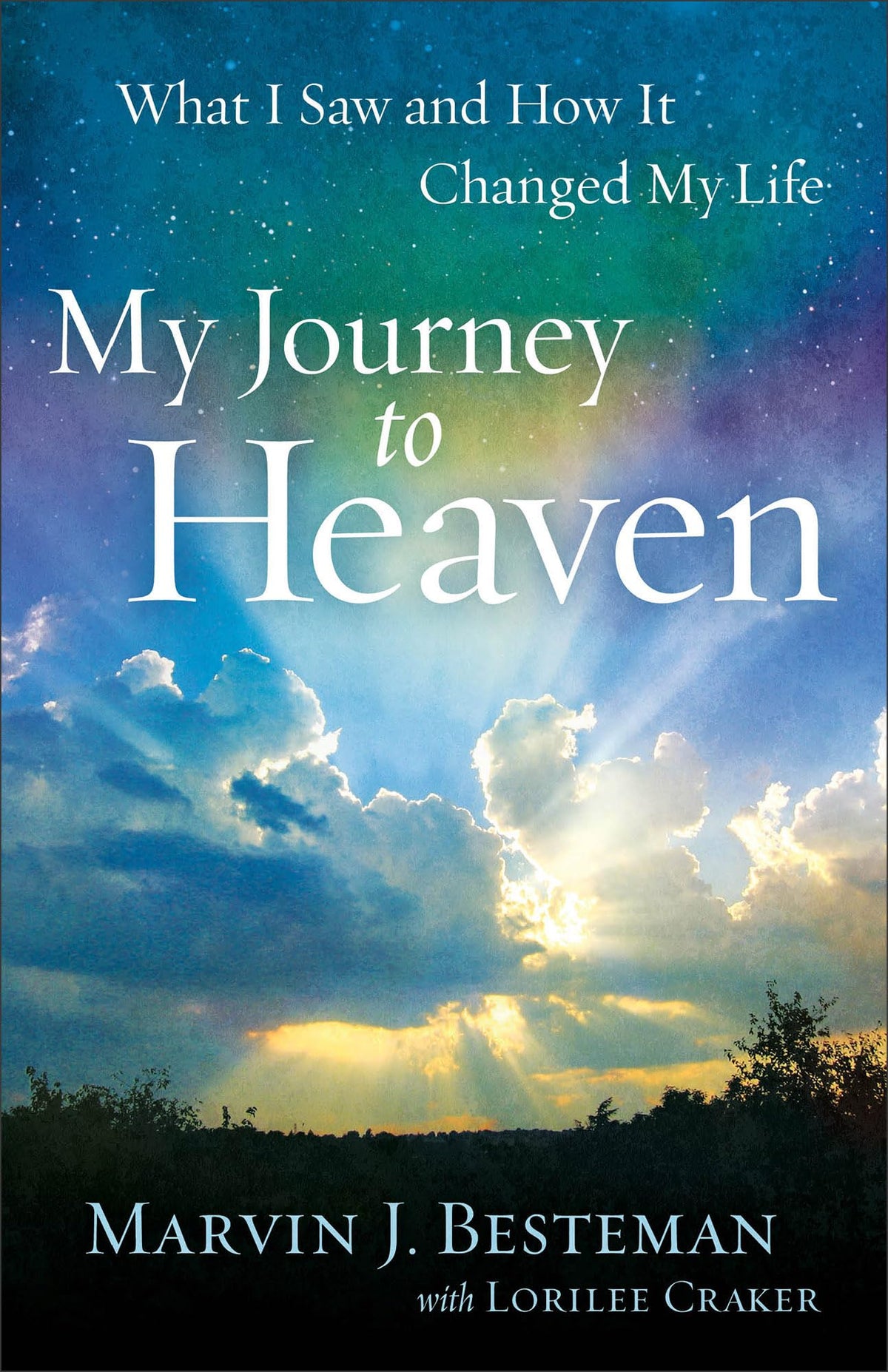 MY JOURNEY TO HEAVEN: WHAT I SAW