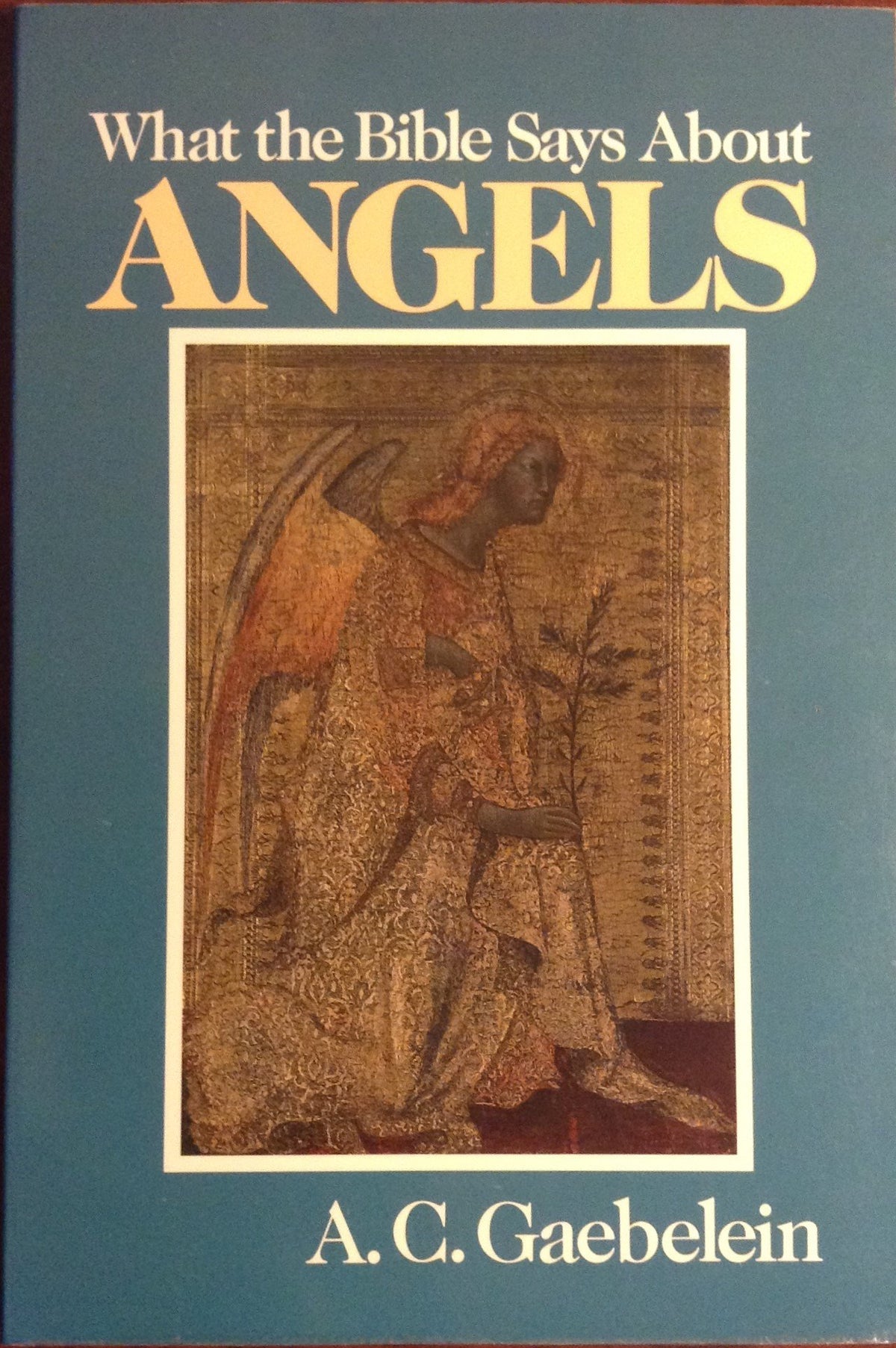What the Bible Says About Angels