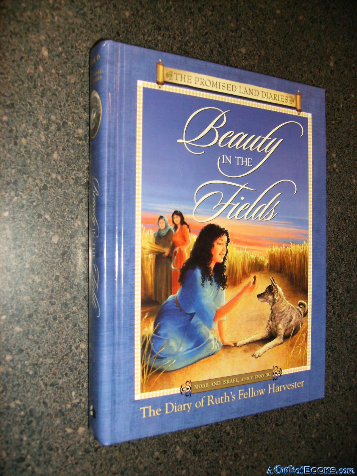 Beauty In The Fields: The Diary Of Ruth's Fellow Harvester, Moab And Israel, About 1200 B.C. (Promised Land Diaries, 6)