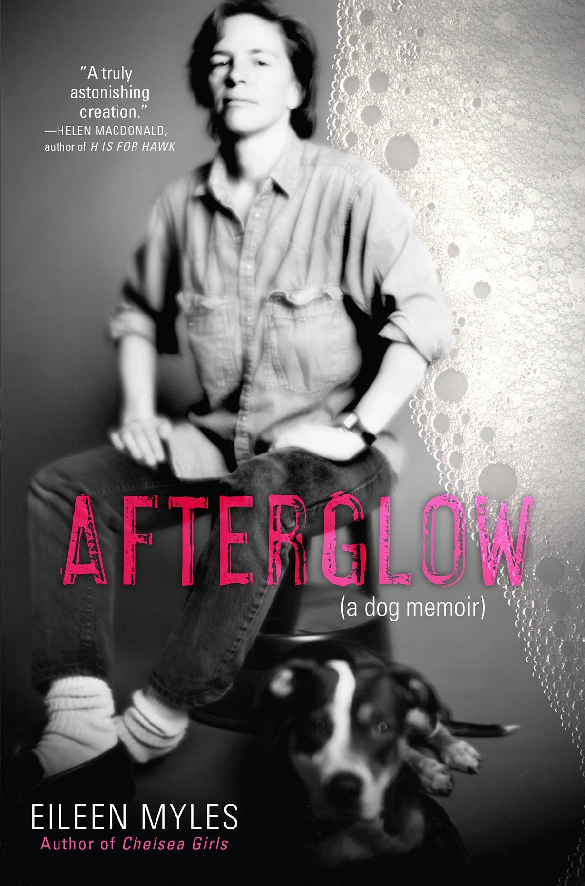Afterglow (a dog memoir) - 1246