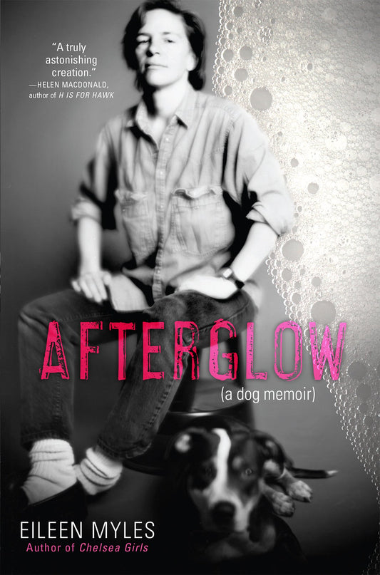 Afterglow (a dog memoir) - 8626