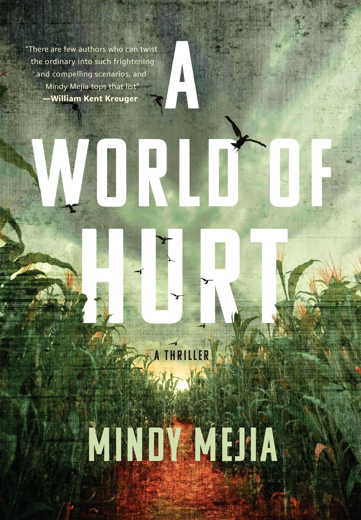 A World of Hurt (Iowa Mysteries Series, 2)
