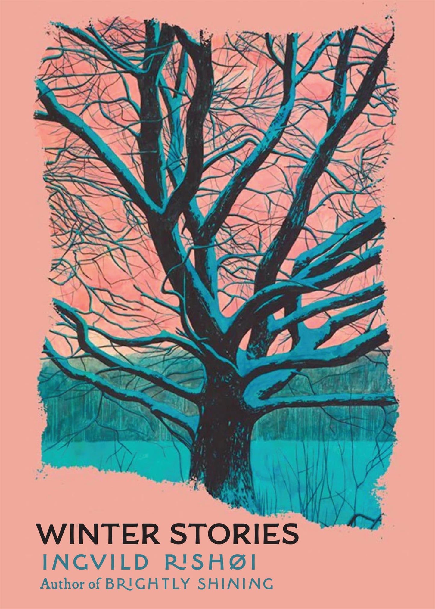 Winter Stories