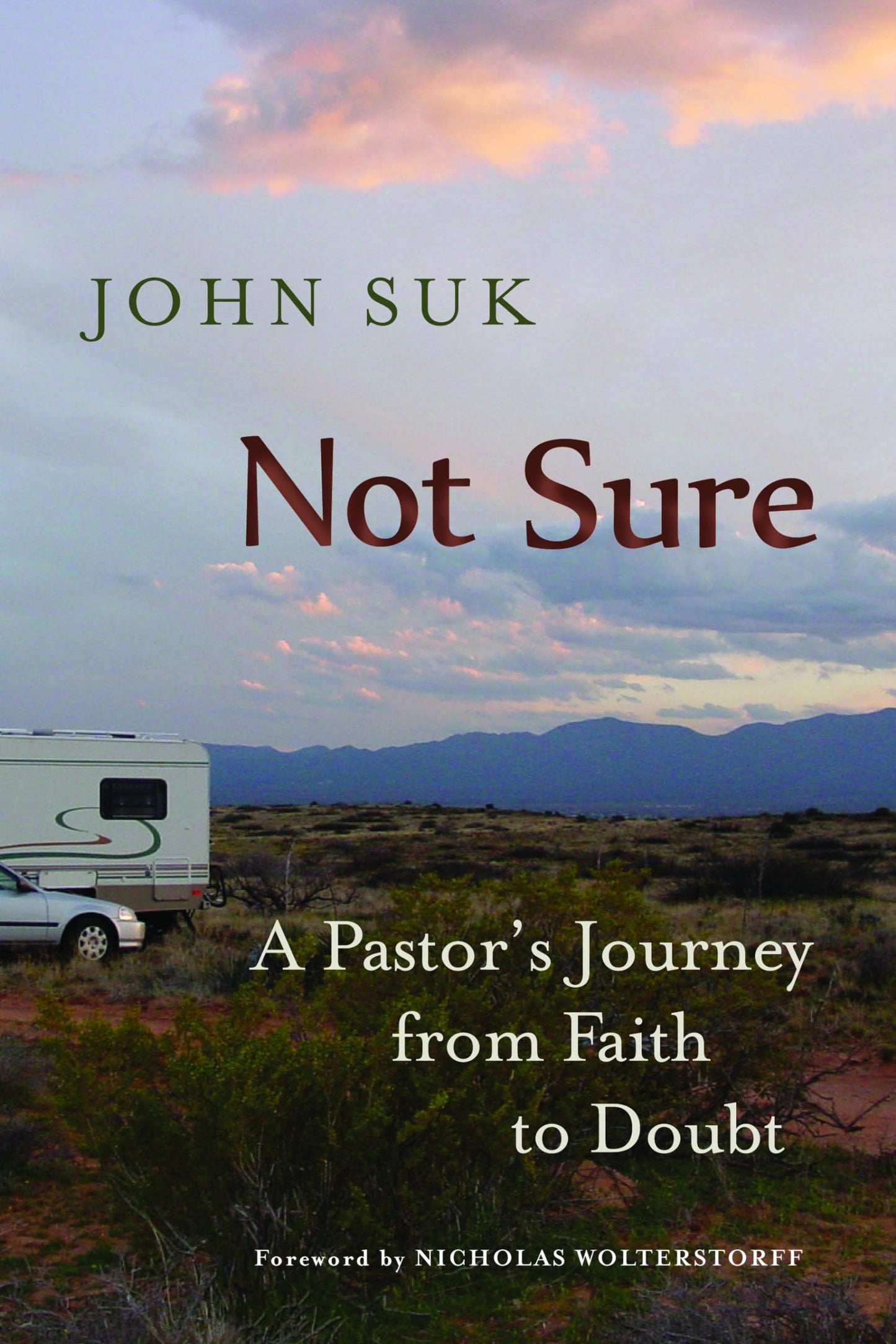 Not Sure: A Pastor's Journey from Faith to Doubt