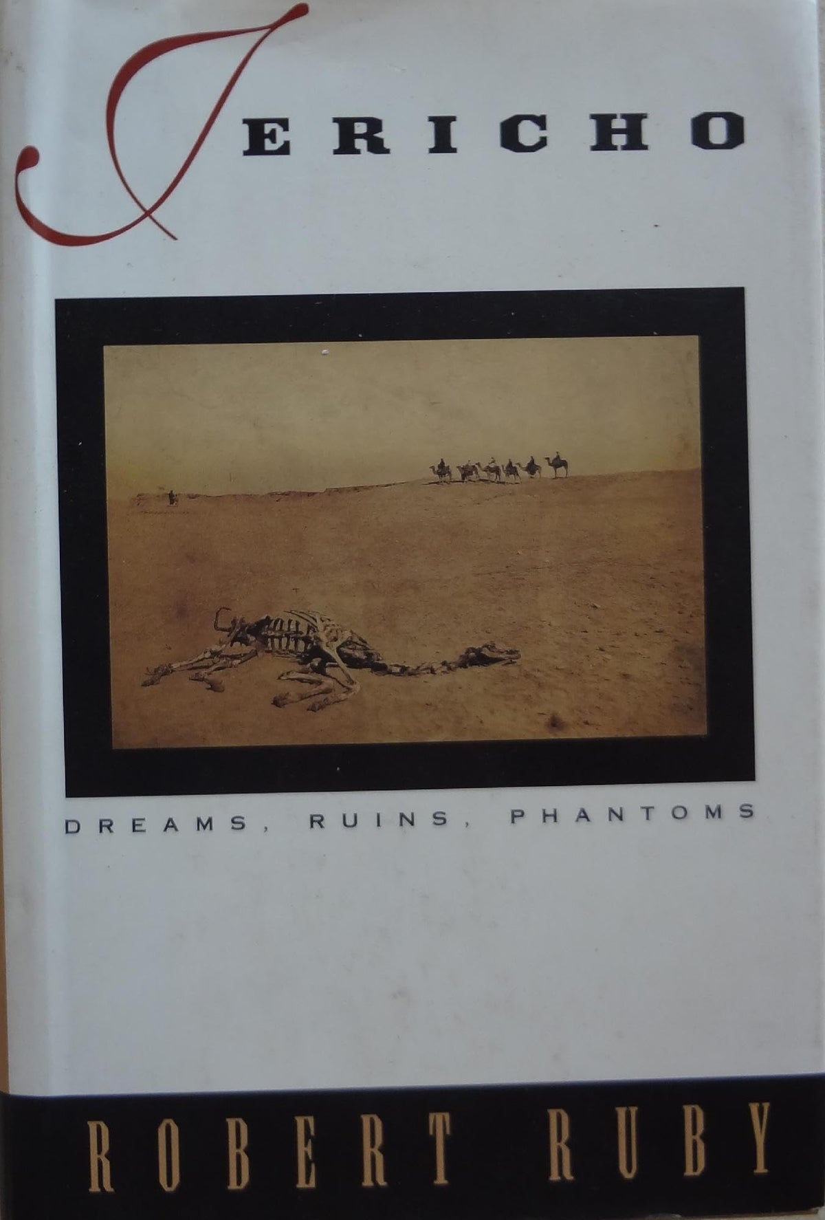 Jericho: Dreams, Ruins, Phantoms