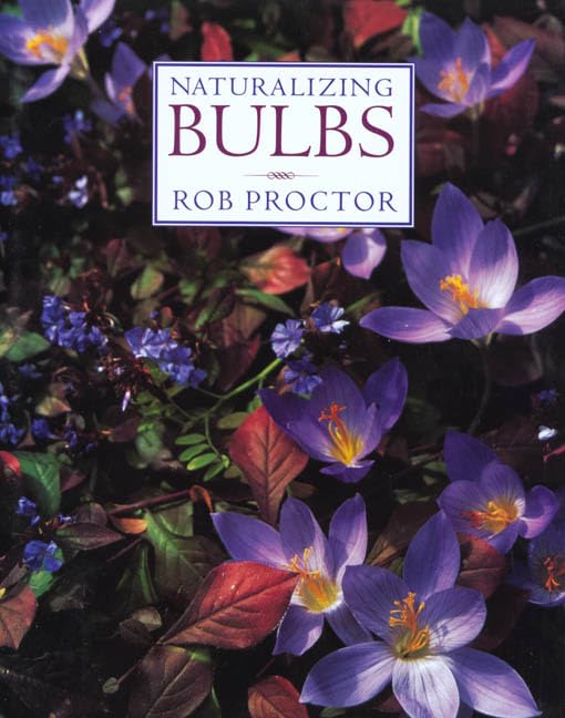 Naturalizing Bulbs