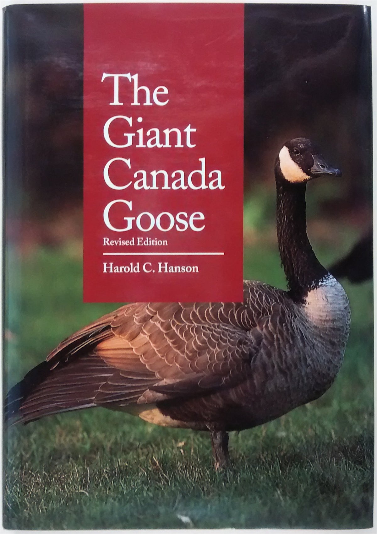 The Giant Canada Goose, Revised Edition