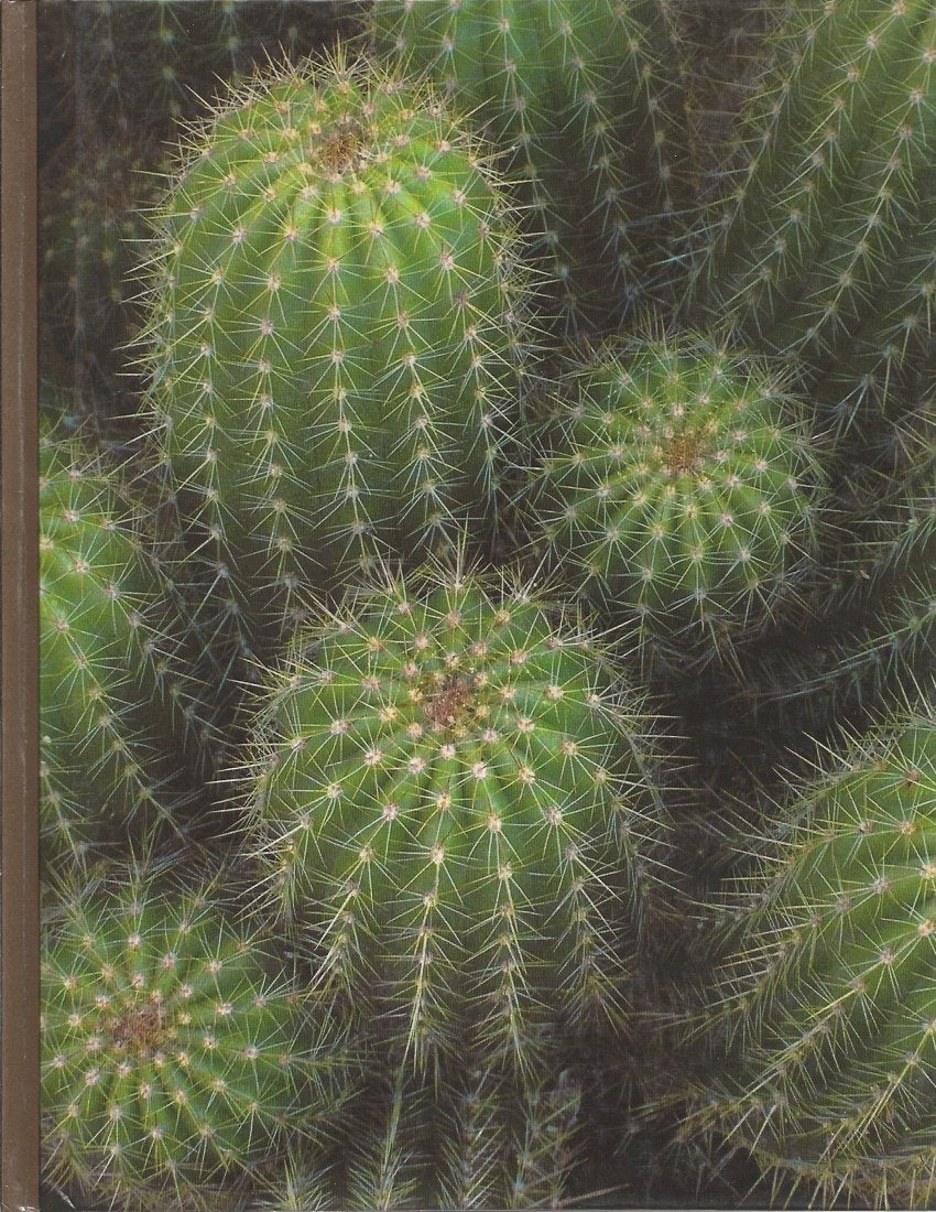 Cacti and Succulents