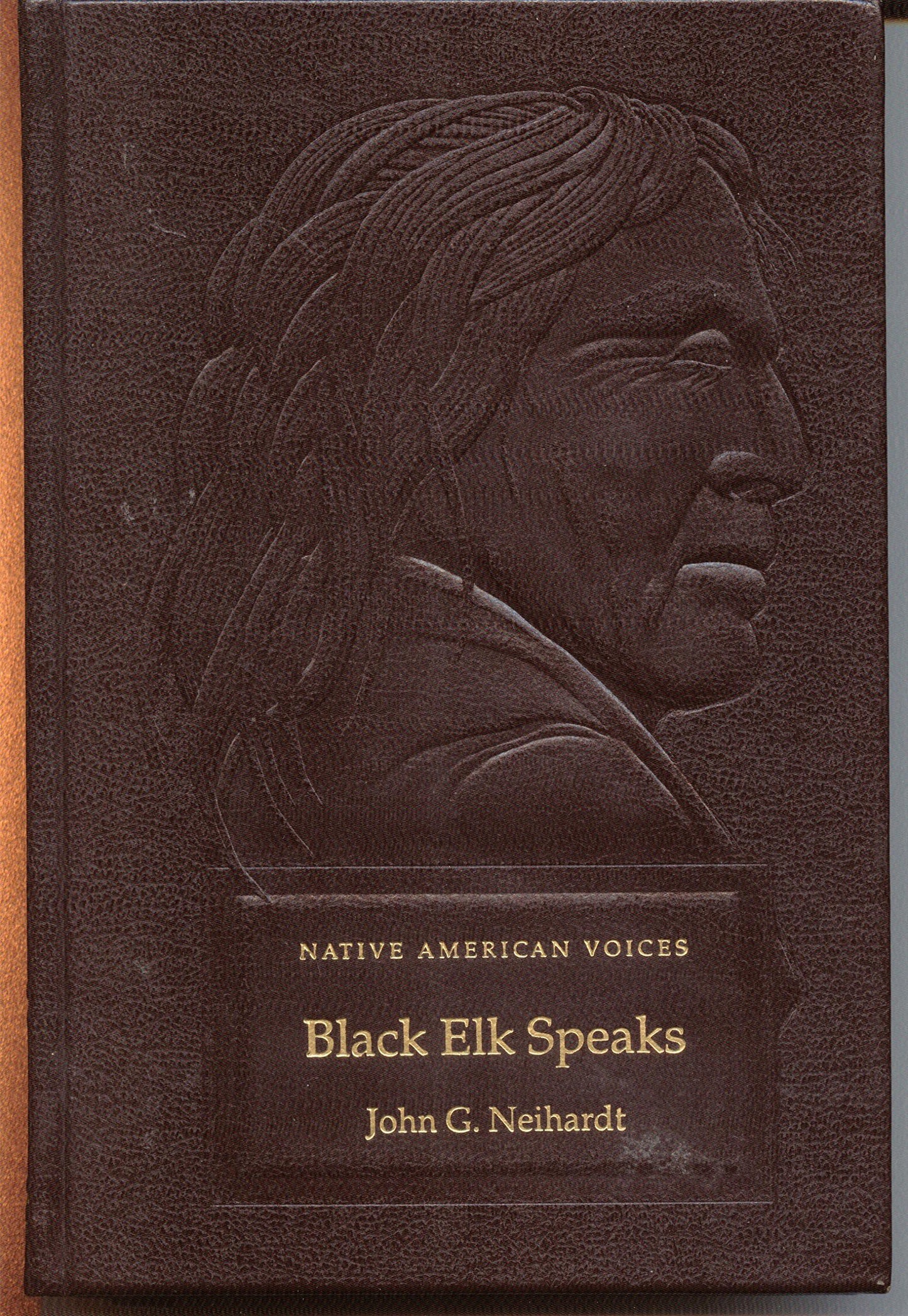 Black Elk speaks: Being the life story of a holy man of the Ogalala Sioux (Native American voices)