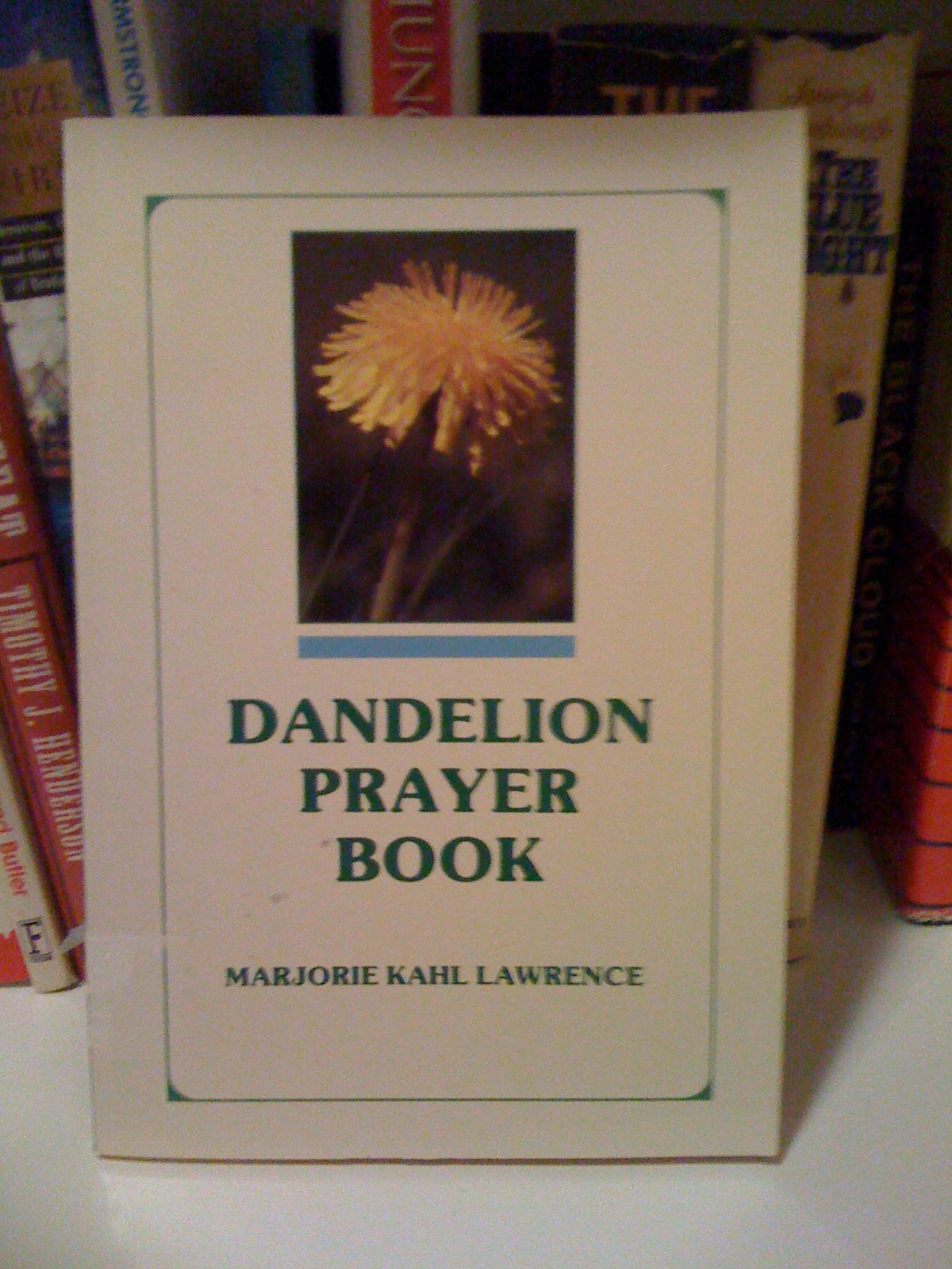 Dandelion prayer book: Talking with God in your golden years : for those who used to be young and wish they still were