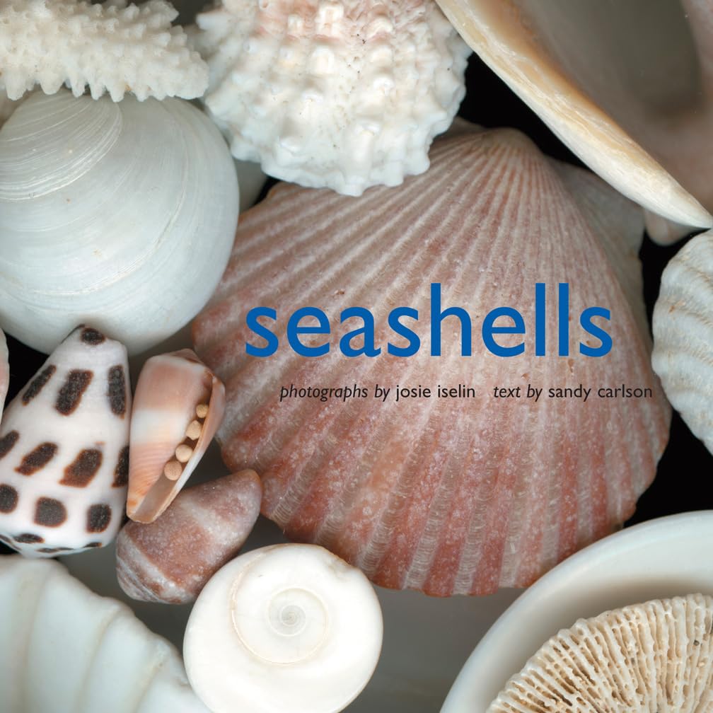 Seashells - 3678