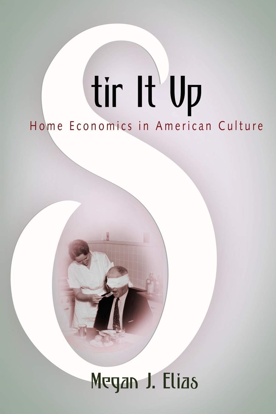 Stir It Up: Home Economics in American Culture - 5952
