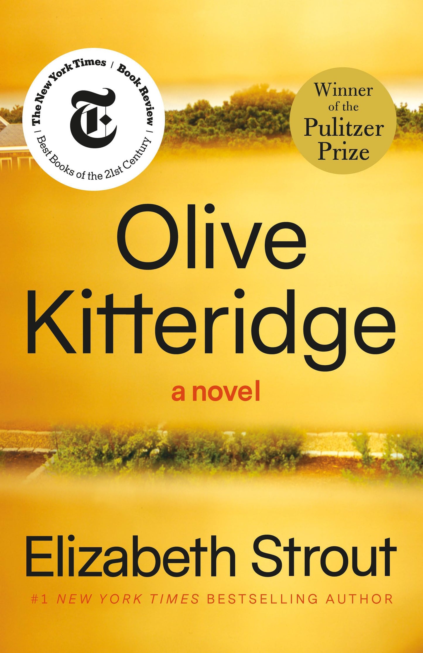 OLIVE KITTERIDGE - 6357