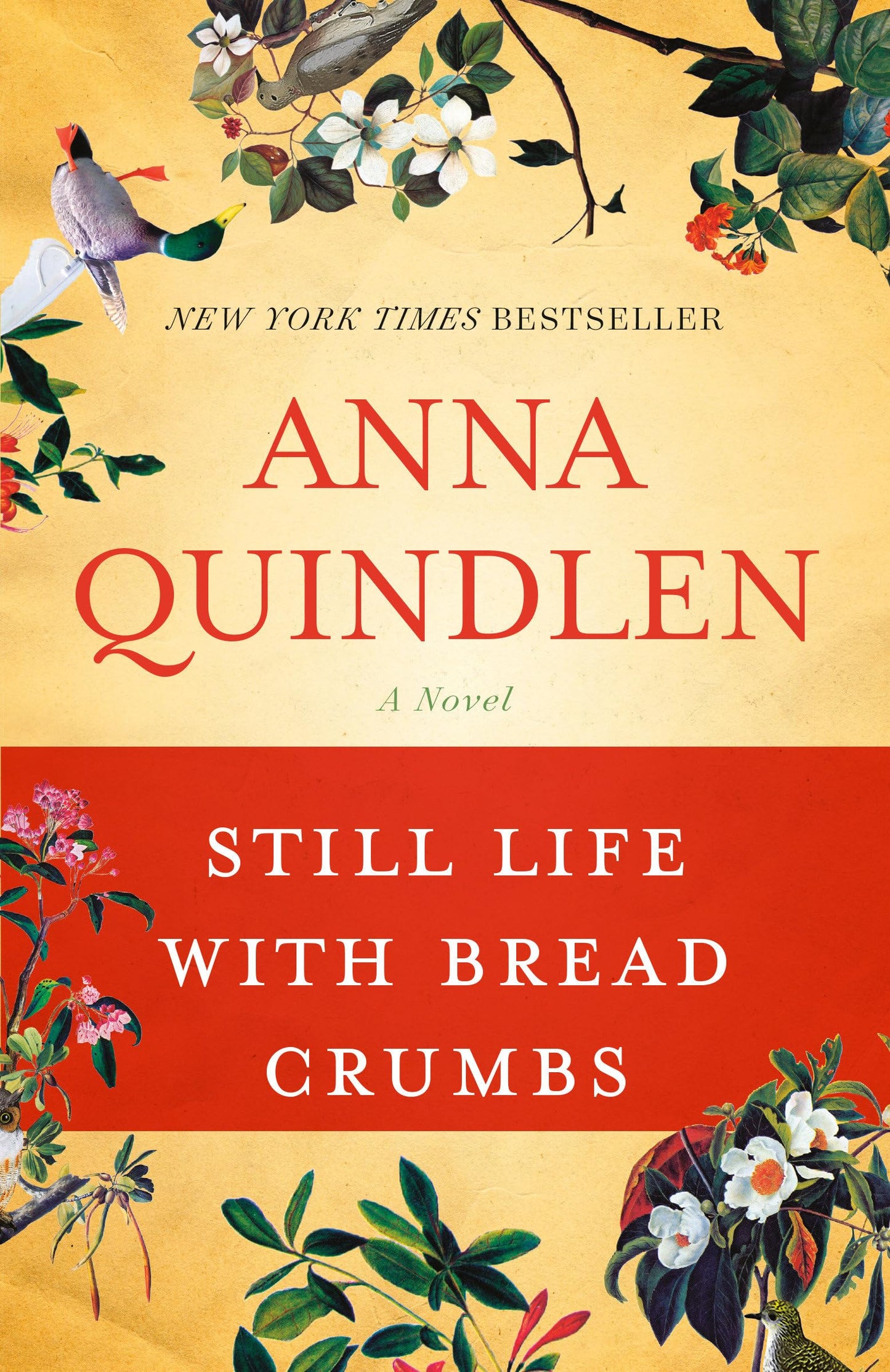 Still Life with Bread Crumbs: A Novel - 5842