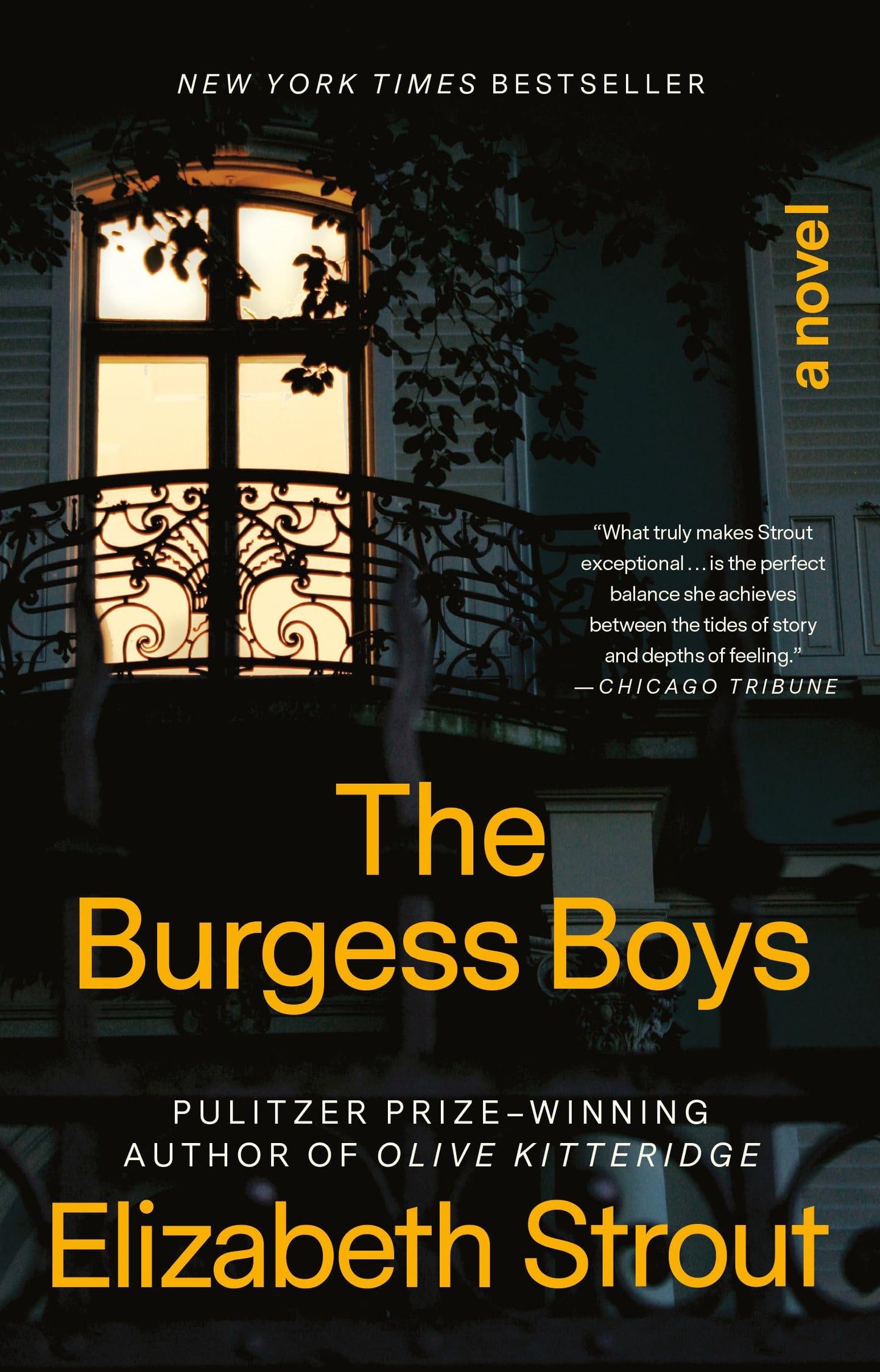 THE BURGESS BOYS: A NOVEL - 4758
