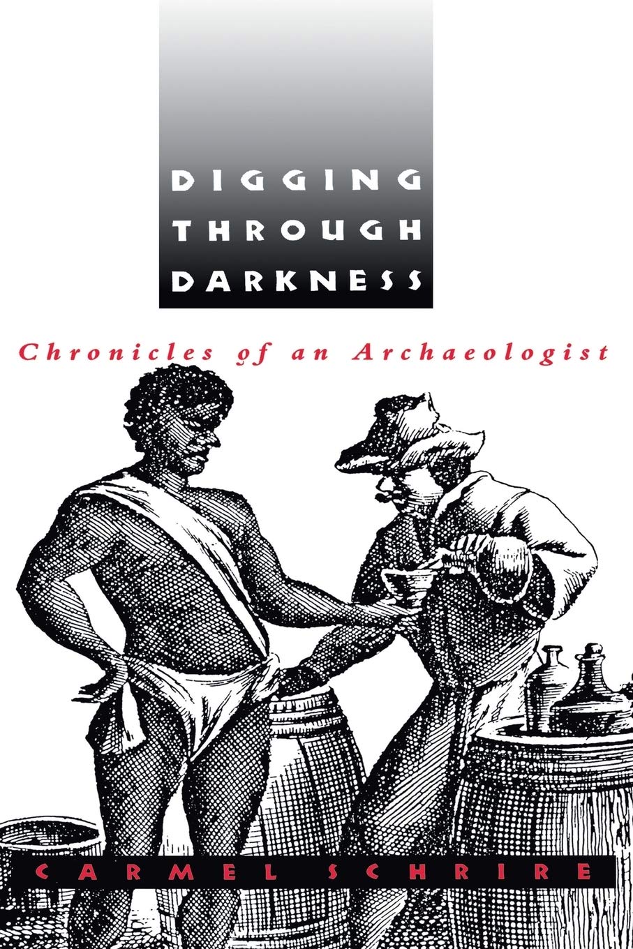 Digging through Darkness: Chronicles of an Archaeologist - 5510