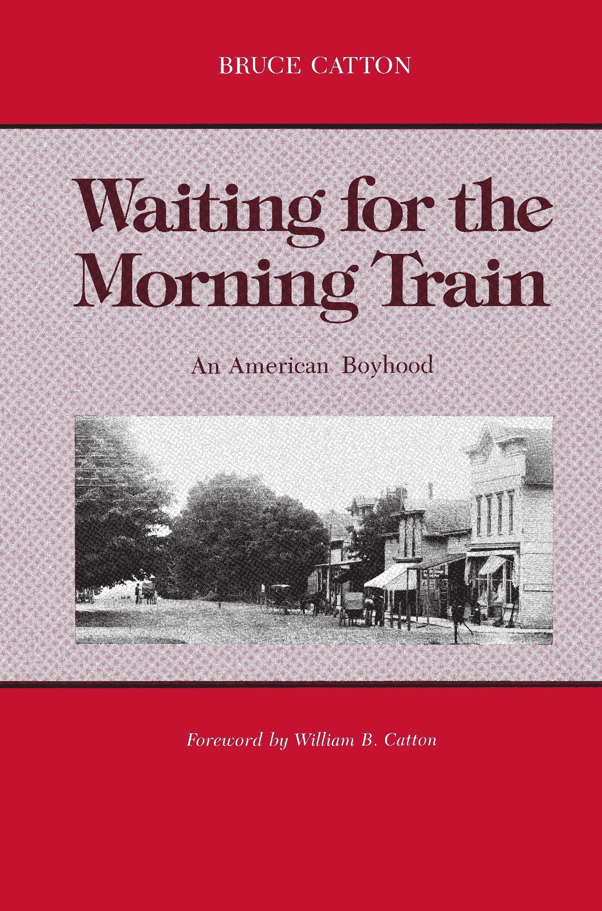 Waiting for the Morning Train: An American Boyhood (Great Lakes Books)