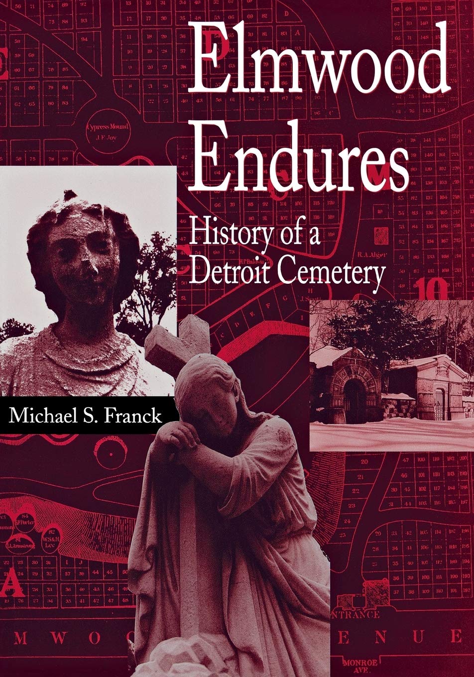 Elmwood Endures: History of a Detroit Cemetery (Great Lakes Books)