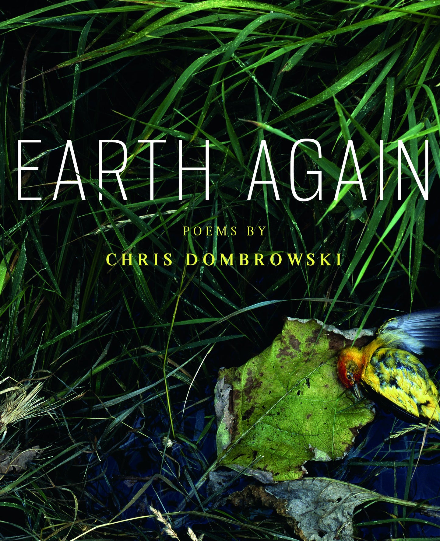 Earth Again (Made in Michigan Writer Series)