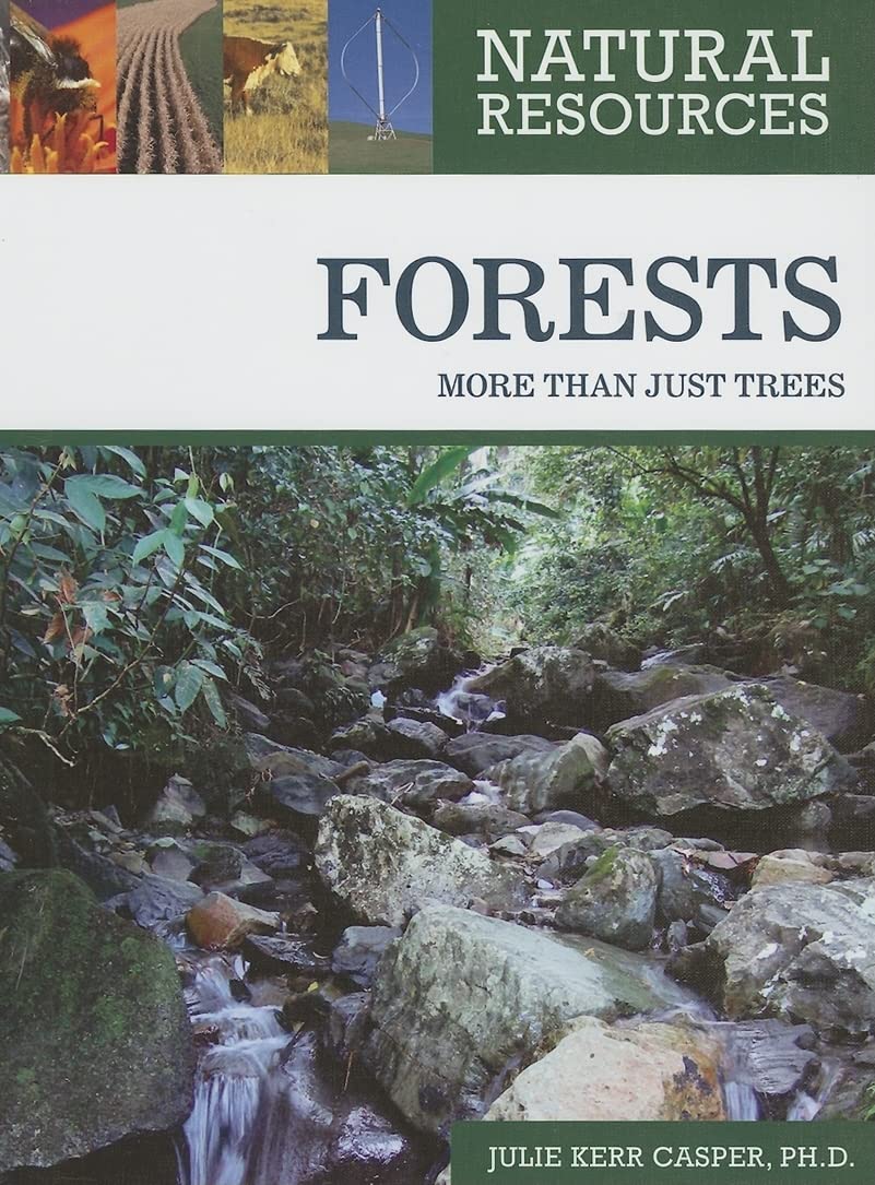 Forests: More Than Just Trees (Natural Resources)