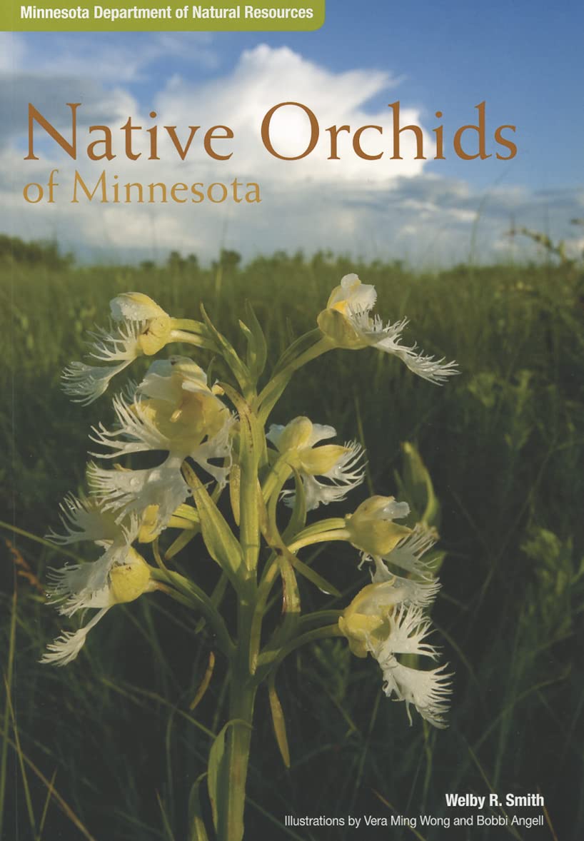 Native Orchids of Minnesota - 873