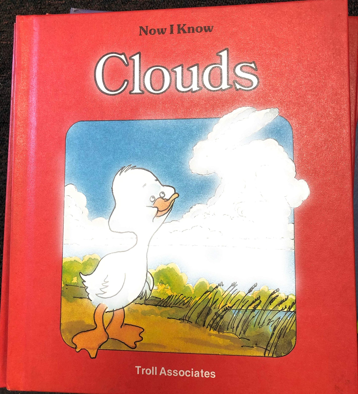 Now I Know Clouds - 5836